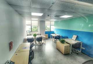 杨浦区正规森鹰铝包木门窗多少钱