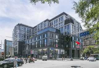 绍兴微醺麦力士新派红曲酒红酒