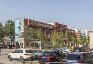 上海棉布数码印花批发