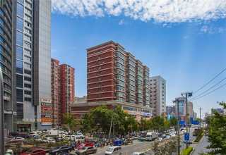 简易精密模拟肺解决方案